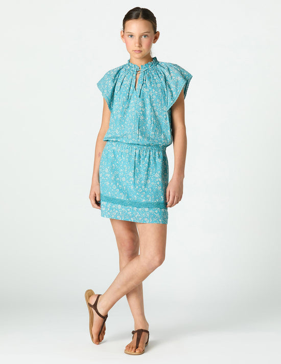 TOILE POND PRINT DRESS