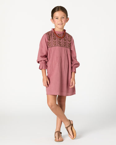 EMBROIDERED BLUSH DRESS