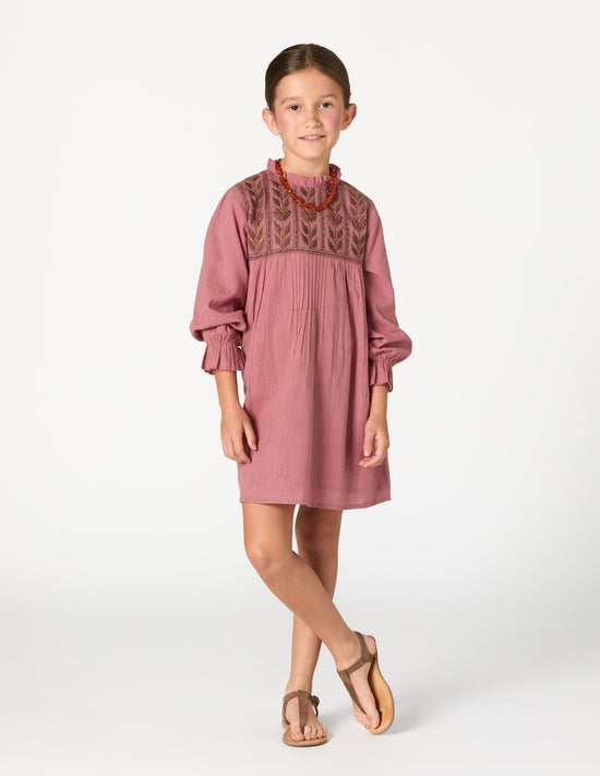 EMBROIDERED BLUSH DRESS