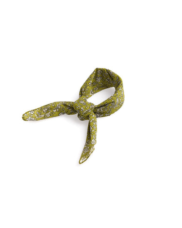 TOILE PRINT PICKLE SCARF