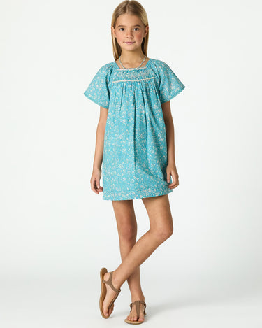TOILE POND DRESS