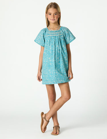 TOILE POND DRESS