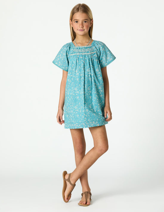 TOILE POND DRESS