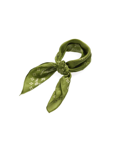 BANDANA PICKLE