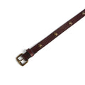Brown belt with gold star buckle