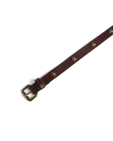 Brown belt with gold star buckle