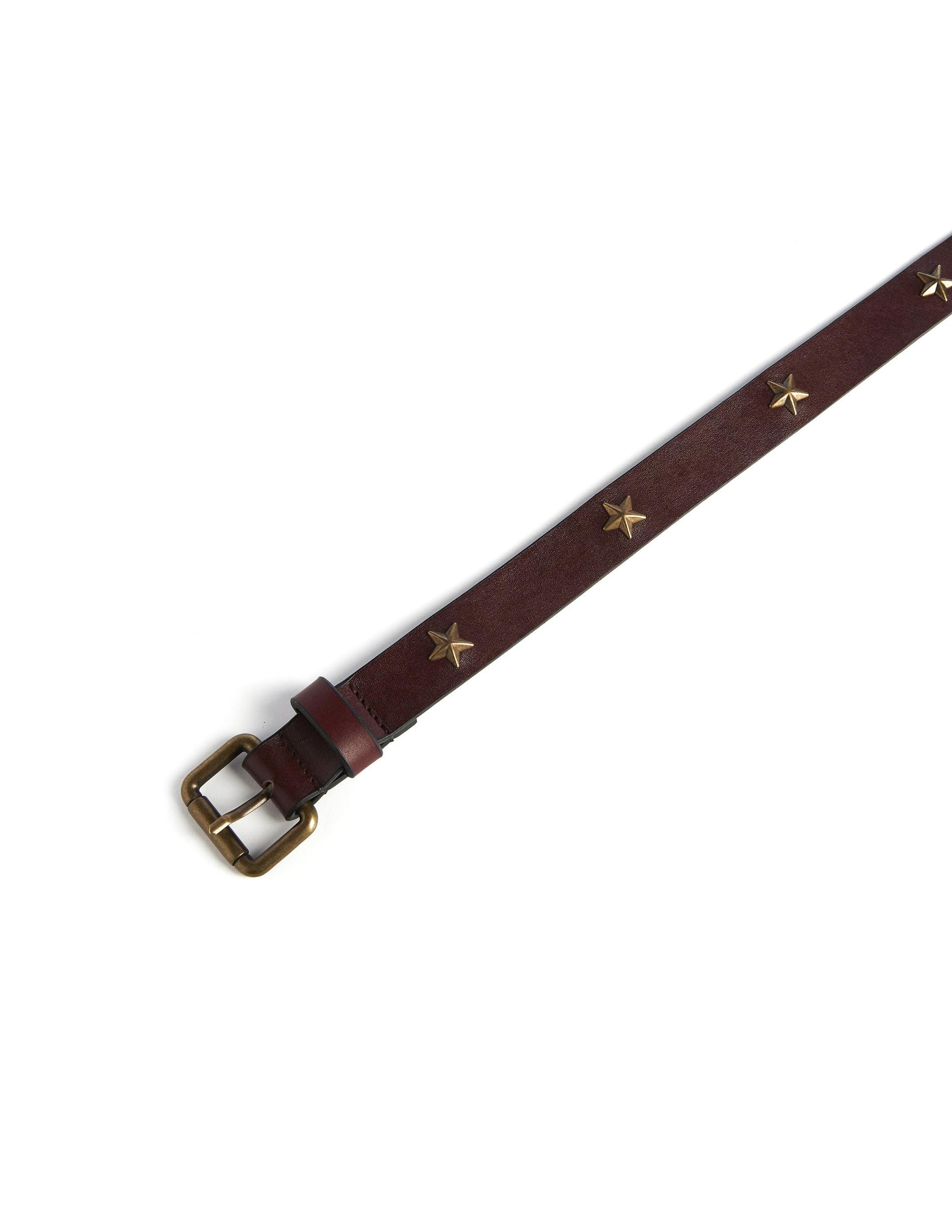 Brown belt with gold star buckle
