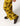 CURRY FLORAL CORDUROY PANTS