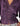 CAMISA ABULLONADA LACE PLUM
