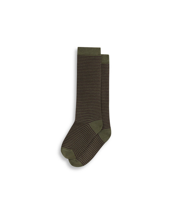 SOCK STRIPE MOSS/MOOR