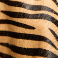 LARGE ZEBRA BAG