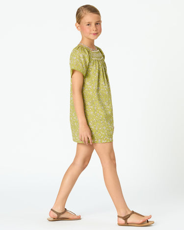ALGAE TOILE DRESS