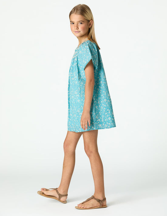 TOILE POND DRESS