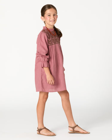 EMBROIDERED BLUSH DRESS