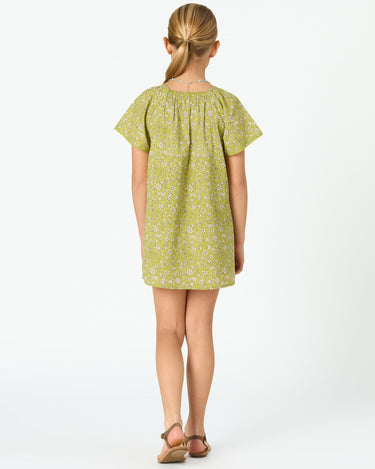 ALGAE TOILE DRESS