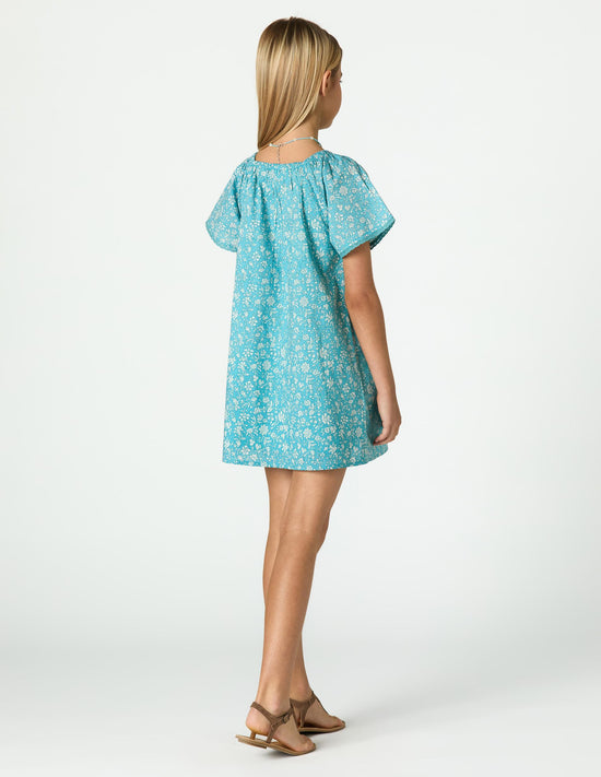 TOILE POND DRESS